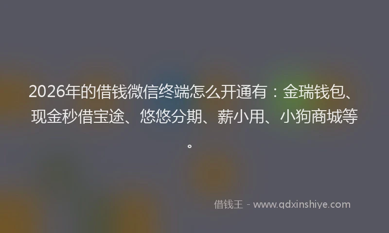 2026年的借钱微信终端怎么开通有：金瑞钱包、现金秒借宝途、悠悠分期、薪小用、小狗商城等。