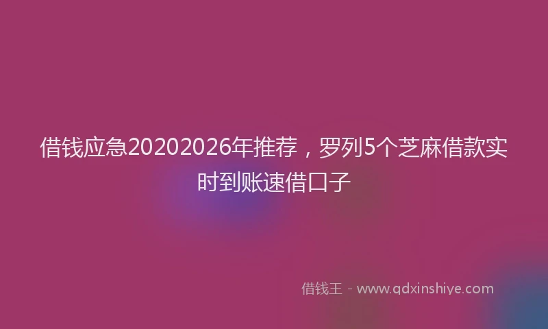 借钱应急20202026年推荐,罗列5个芝麻借款实时到账速借口子