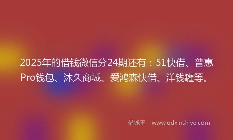 2025年的借钱微信分24期还有：51快借、普惠Pro钱包、沐久商城、爱鸿森快借、洋钱罐等。