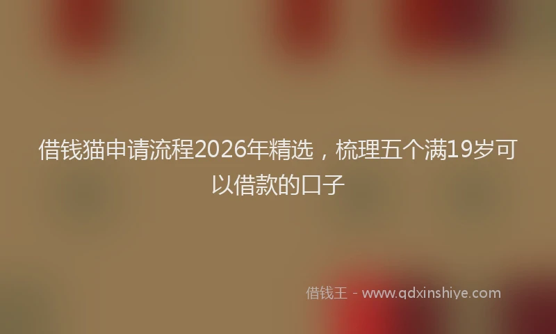 借钱猫申请流程2026年精选，梳理五个满19岁可以借款的口子