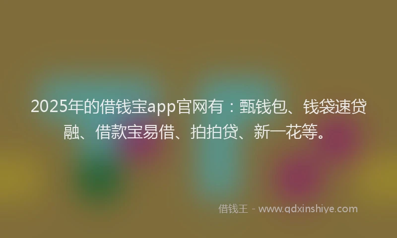 2025年的借钱宝app官网有:甄钱包、钱袋速贷融、借款宝易借、拍拍贷、新一花等。