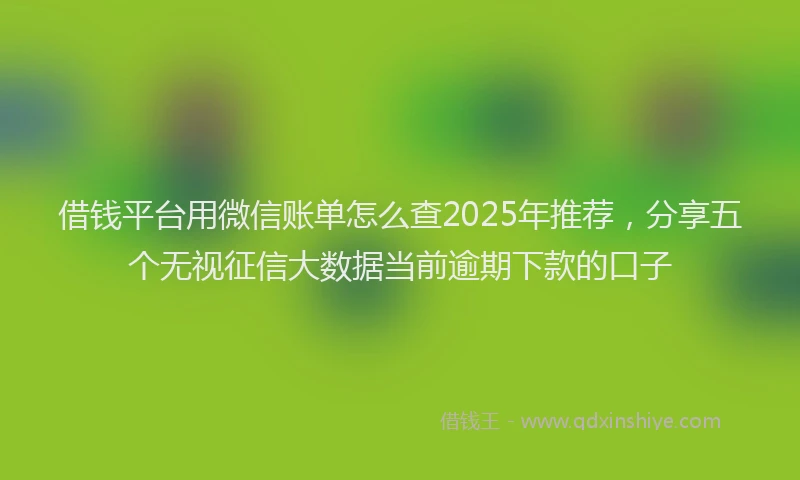 借钱平台用微信账单怎么查2025年推荐，分享五个无视征信大数据当前逾期下款的口子