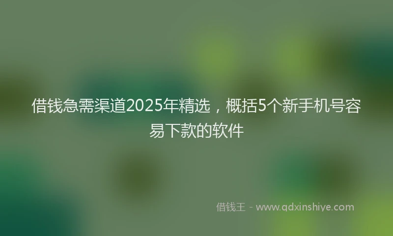 借钱急需渠道2025年精选,概括5个新手机号容易下款的软件