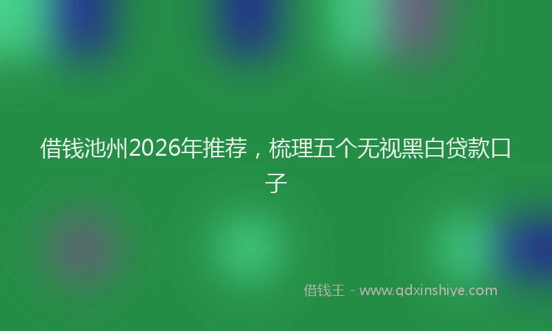 借钱池州2026年推荐，梳理五个无视黑白贷款口子