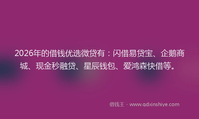 2026年的借钱优选微贷有:闪借易贷宝、企鹅商城、现金秒融贷、星辰钱包、爱鸿森快借等。