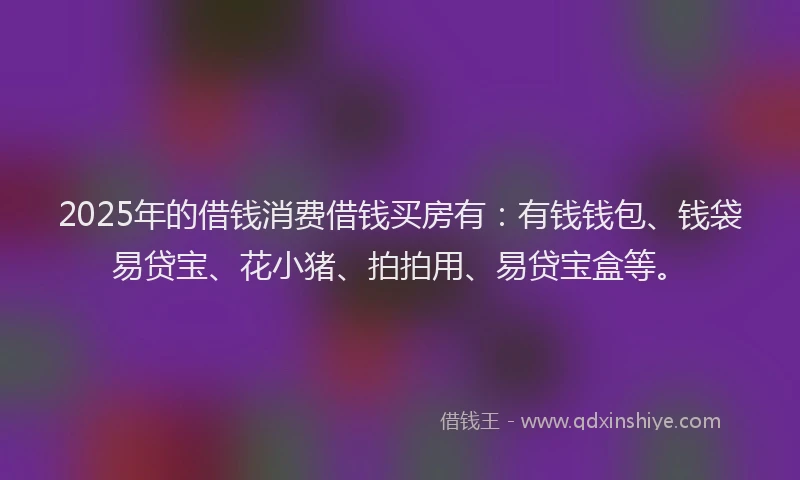 2025年的借钱消费借钱买房有：有钱钱包、钱袋易贷宝、花小猪、拍拍用、易贷宝盒等。