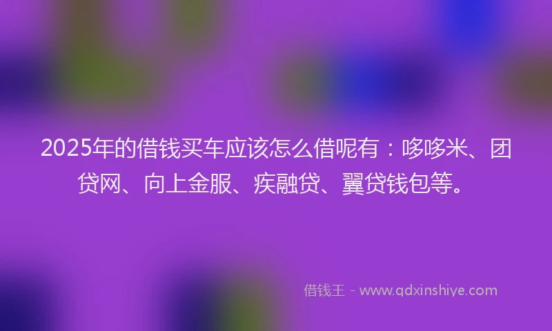 2025年的借钱买车应该怎么借呢有:哆哆米、团贷网、向上金服、疾融贷、翼贷钱包等。