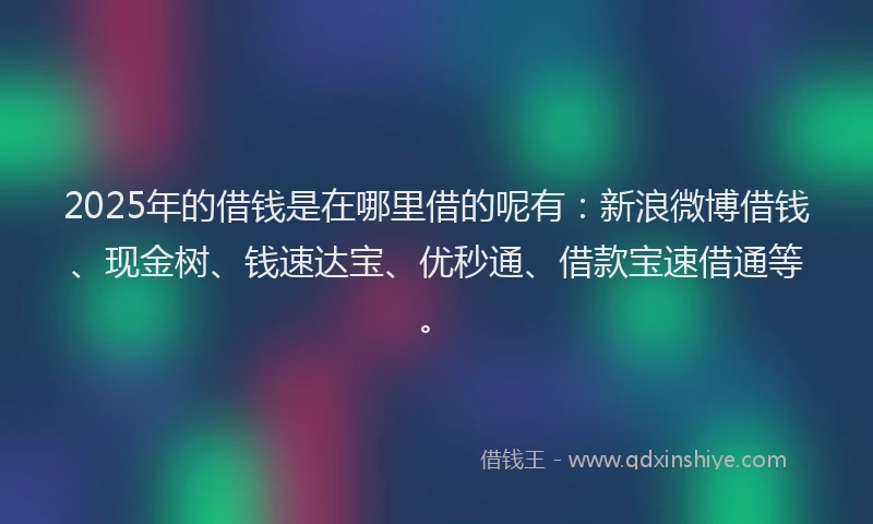 2025年的借钱是在哪里借的呢有：新浪微博借钱、现金树、钱速达宝、优秒通、借款宝速借通等。