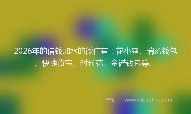 2026年的借钱加水的微信有:花小猪、瑞盈钱包、快捷贷宝、时代花、金诺钱包等。