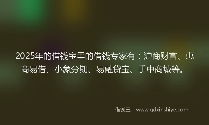 2025年的借钱宝里的借钱专家有：沪商财富、惠商易借、小象分期、易融贷宝、手中商城等。