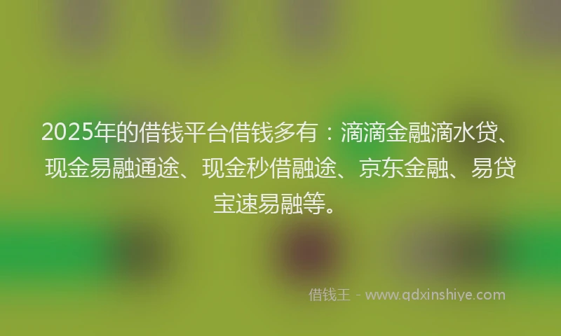 2025年的借钱平台借钱多有：滴滴金融滴水贷、现金易融通途、现金秒借融途、京东金融、易贷宝速易融等。