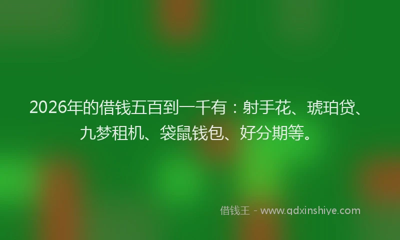 2026年的借钱五百到一千有:射手花、琥珀贷、九梦租机、袋鼠钱包、好分期等。