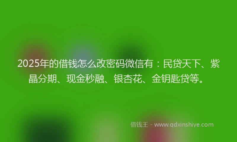 2025年的借钱怎么改密码微信有：民贷天下、紫晶分期、现金秒融、银杏花、金钥匙贷等。