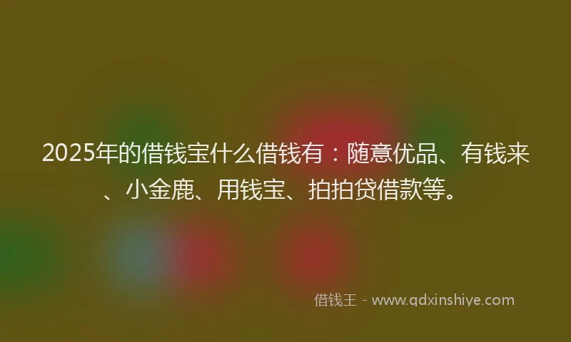 2025年的借钱宝什么借钱有：随意优品、有钱来、小金鹿、用钱宝、拍拍贷借款等。