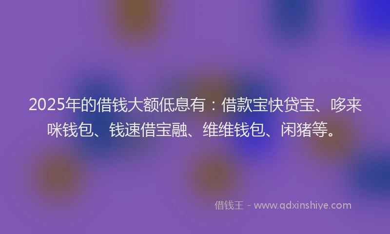 2025年的借钱大额低息有:借款宝快贷宝、哆来咪钱包、钱速借宝融、维维钱包、闲猪等。