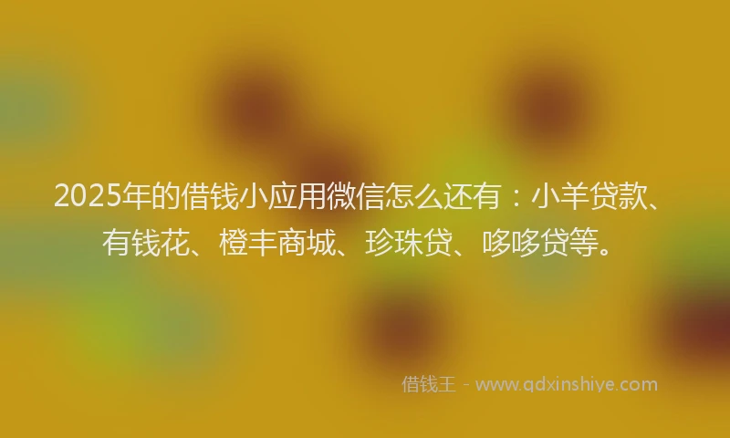 2025年的借钱小应用微信怎么还有:小羊贷款、有钱花、橙丰商城、珍珠贷、哆哆贷等。