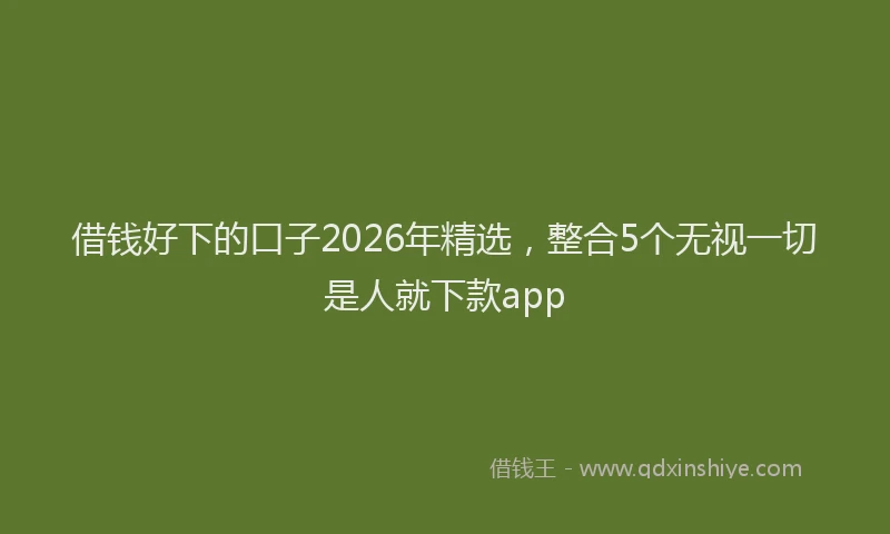 借钱好下的口子2026年精选，整合5个无视一切是人就下款app
