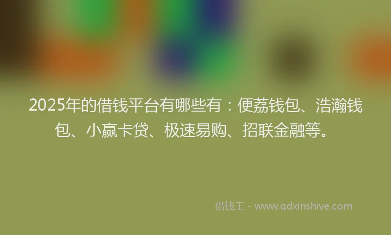 2025年的借钱平台有哪些有：便荔钱包、浩瀚钱包、小赢卡贷、极速易购、招联金融等。