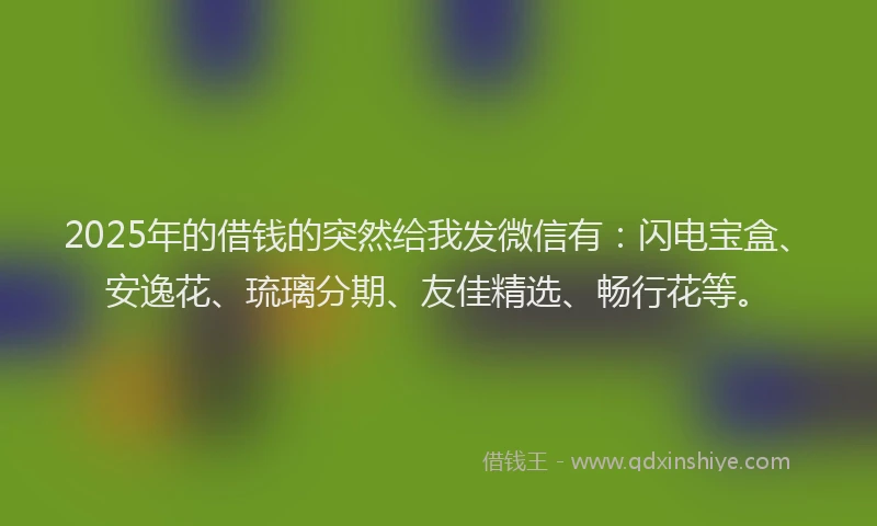2025年的借钱的突然给我发微信有：闪电宝盒、安逸花、琉璃分期、友佳精选、畅行花等。