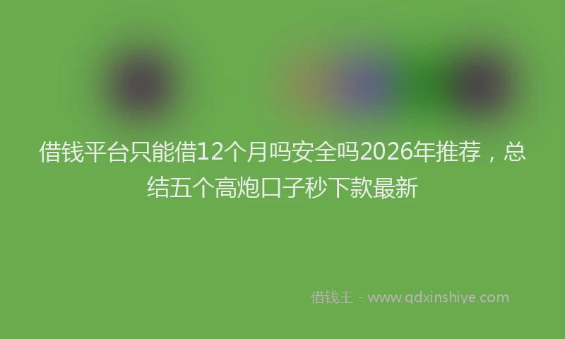 借钱平台只能借12个月吗安全吗2026年推荐,总结五个高炮口子秒下款最新