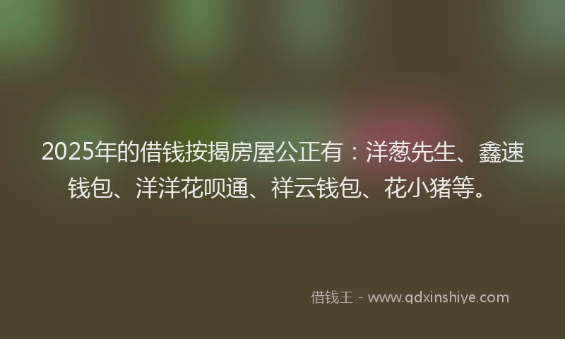 2025年的借钱按揭房屋公正有:洋葱先生、鑫速钱包、洋洋花呗通、祥云钱包、花小猪等。