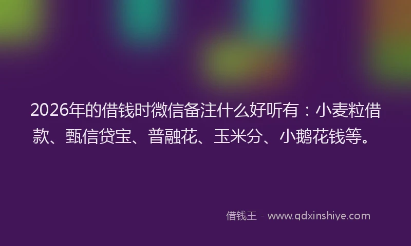 2026年的借钱时微信备注什么好听有：小麦粒借款、甄信贷宝、普融花、玉米分、小鹅花钱等。