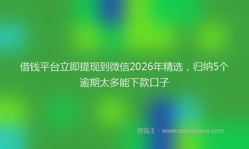 借钱平台立即提现到微信2026年精选,归纳5个逾期太多能下款口子