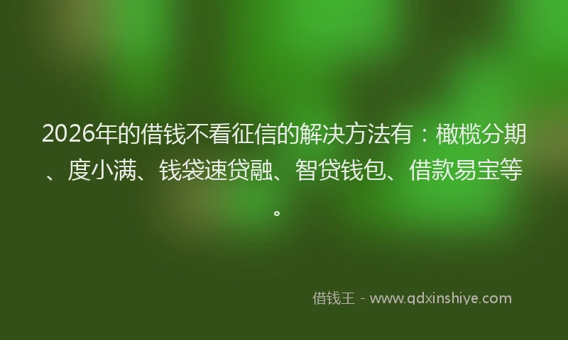 2026年的借钱不看征信的解决方法有：橄榄分期、度小满、钱袋速贷融、智贷钱包、借款易宝等。