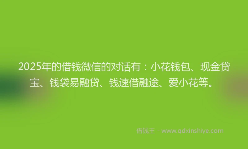 2025年的借钱微信的对话有：小花钱包、现金贷宝、钱袋易融贷、钱速借融途、爱小花等。