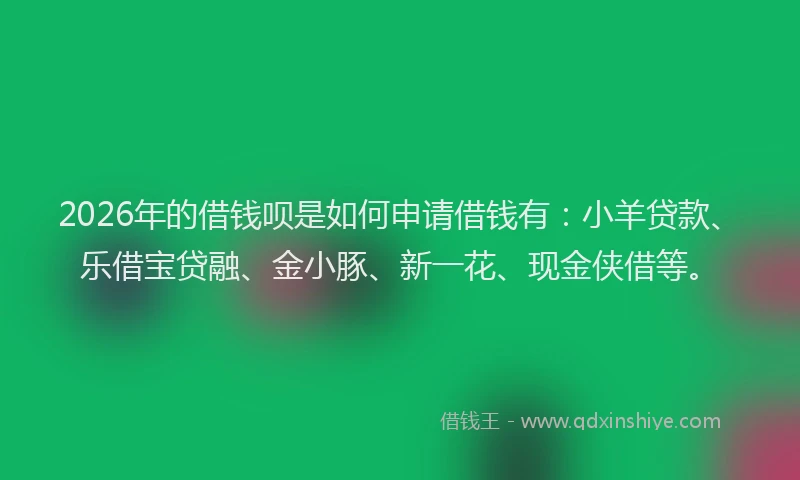 2026年的借钱呗是如何申请借钱有：小羊贷款、乐借宝贷融、金小豚、新一花、现金侠借等。