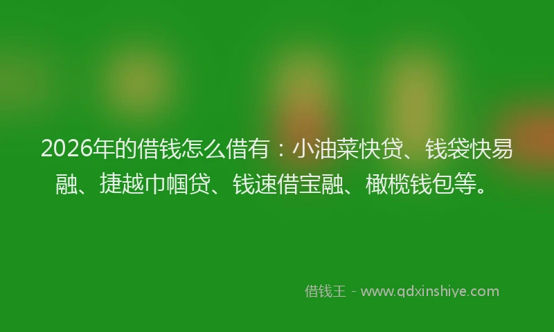 2026年的借钱怎么借有：小油菜快贷、钱袋快易融、捷越巾帼贷、钱速借宝融、橄榄钱包等。