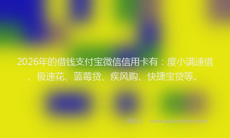 2026年的借钱支付宝微信信用卡有:度小满速借、极速花、蓝莓贷、疾风购、快捷宝贷等。