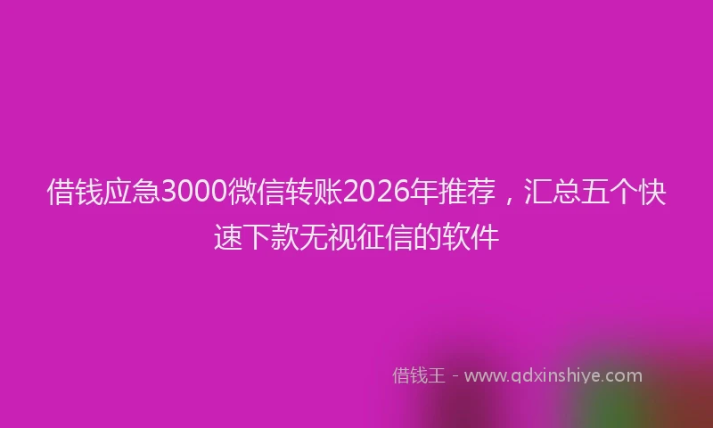 借钱应急3000微信转账2026年推荐，汇总五个快速下款无视征信的软件