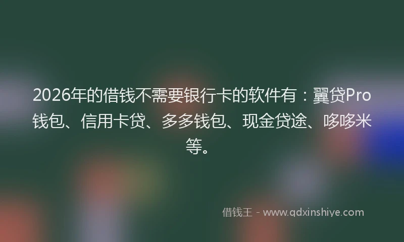 2026年的借钱不需要银行卡的软件有：翼贷Pro钱包、信用卡贷、多多钱包、现金贷途、哆哆米等。