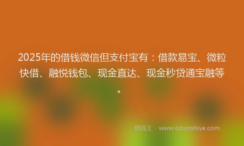 2025年的借钱微信但支付宝有:借款易宝、微粒快借、融悦钱包、现金直达、现金秒贷通宝融等。
