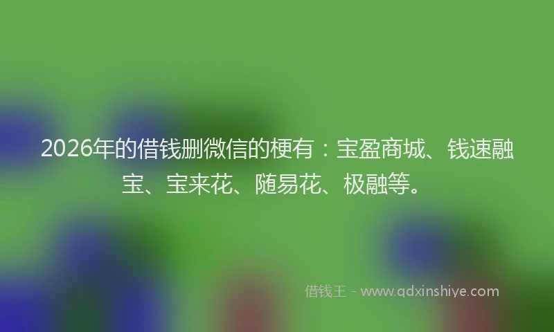 2026年的借钱删微信的梗有：宝盈商城、钱速融宝、宝来花、随易花、极融等。