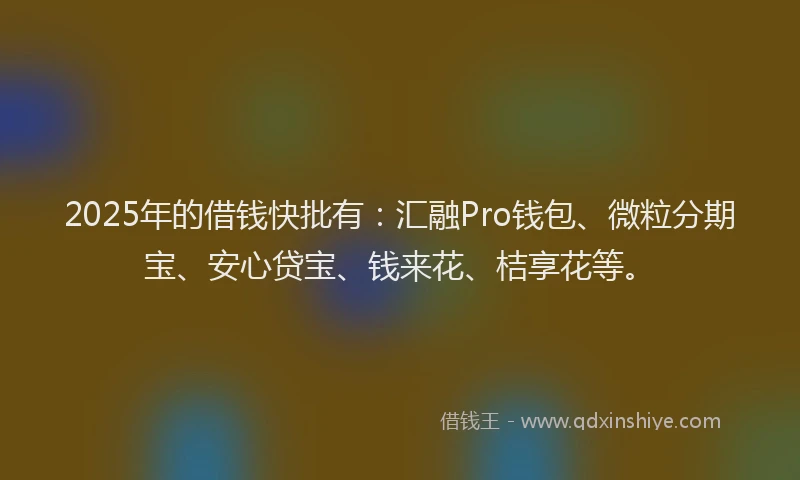 2025年的借钱快批有:汇融Pro钱包、微粒分期宝、安心贷宝、钱来花、桔享花等。