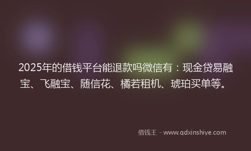 2025年的借钱平台能退款吗微信有：现金贷易融宝、飞融宝、随信花、橘若租机、琥珀买单等。