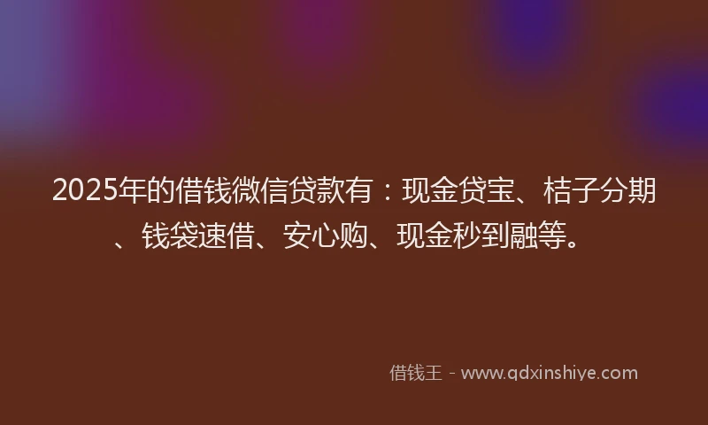 2025年的借钱微信贷款有:现金贷宝、桔子分期、钱袋速借、安心购、现金秒到融等。