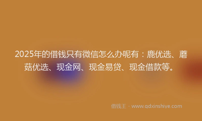 2025年的借钱只有微信怎么办呢有:鹿优选、蘑菇优选、现金网、现金易贷、现金借款等。