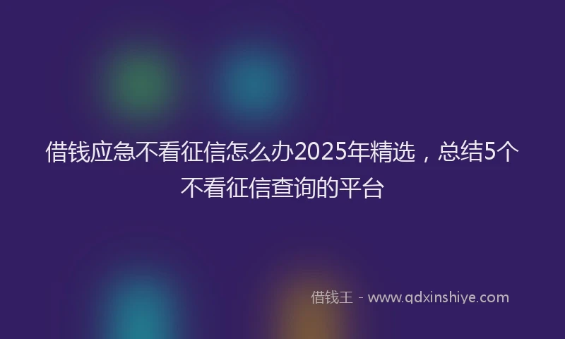 借钱应急不看征信怎么办2025年精选，总结5个不看征信查询的平台