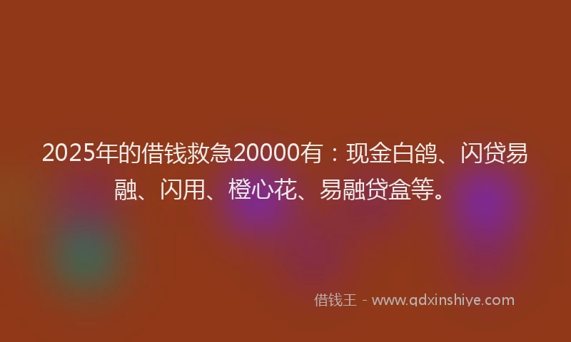 2025年的借钱救急20000有:现金白鸽、闪贷易融、闪用、橙心花、易融贷盒等。