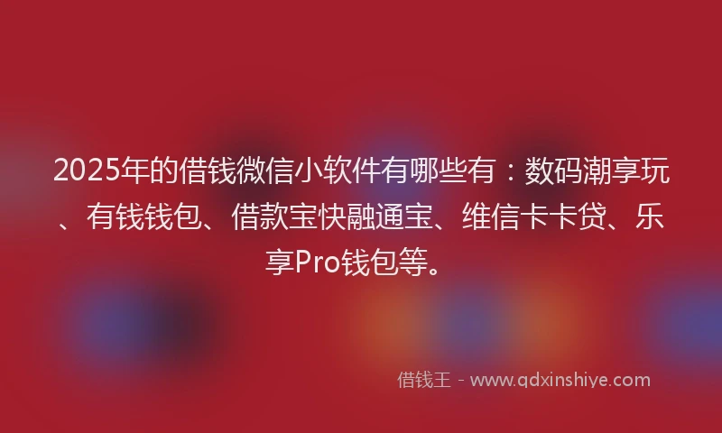 2025年的借钱微信小软件有哪些有：数码潮享玩、有钱钱包、借款宝快融通宝、维信卡卡贷、乐享Pro钱包等。