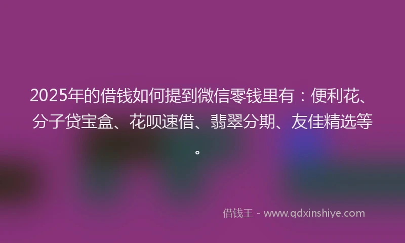 2025年的借钱如何提到微信零钱里有:便利花、分子贷宝盒、花呗速借、翡翠分期、友佳精选等。