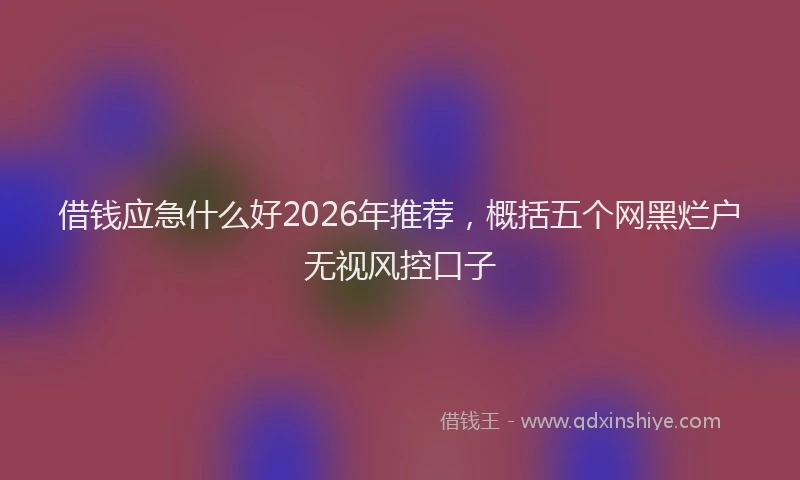 借钱应急什么好2026年推荐，概括五个网黑烂户无视风控口子