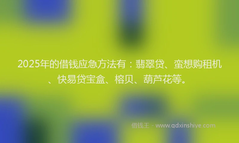 2025年的借钱应急方法有：翡翠贷、蛮想购租机、快易贷宝盒、榕贝、葫芦花等。