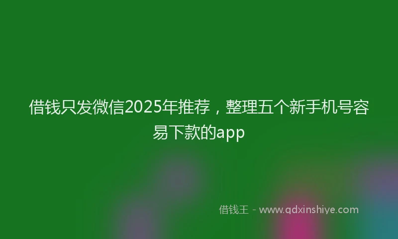借钱只发微信2025年推荐，整理五个新手机号容易下款的app