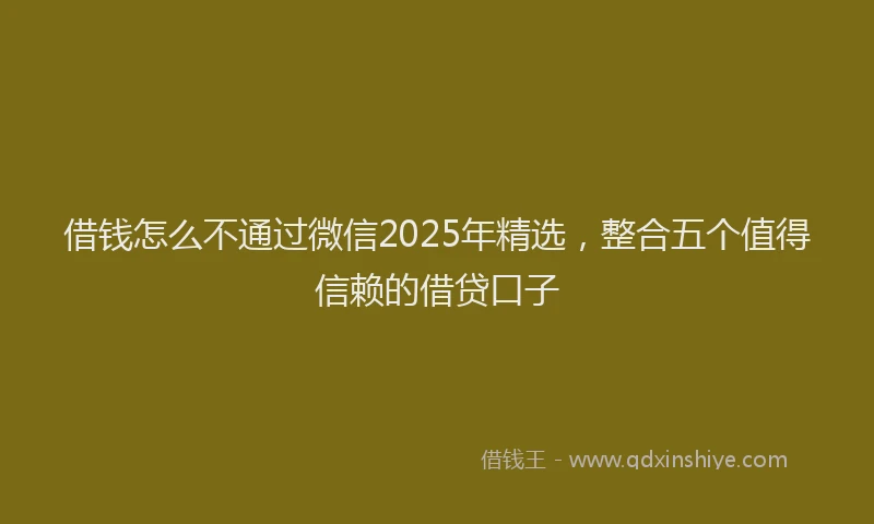借钱怎么不通过微信2025年精选，整合五个值得信赖的借贷口子