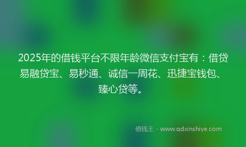 2025年的借钱平台不限年龄微信支付宝有：借贷易融贷宝、易秒通、诚信一周花、迅捷宝钱包、臻心贷等。
