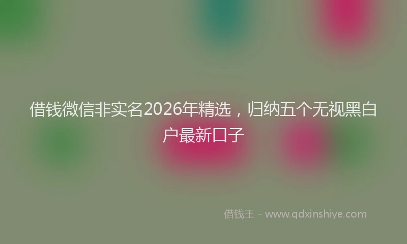 借钱微信非实名2026年精选，归纳五个无视黑白户最新口子